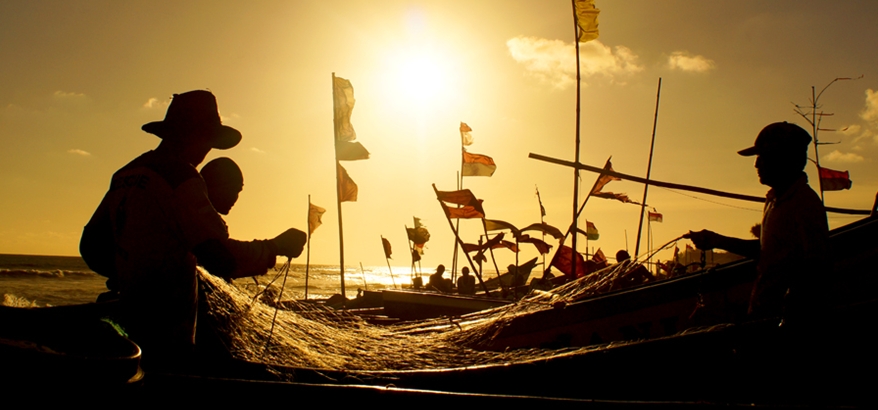 Dinas Lingkungan Hidup Dinas Lingkungan Hidup