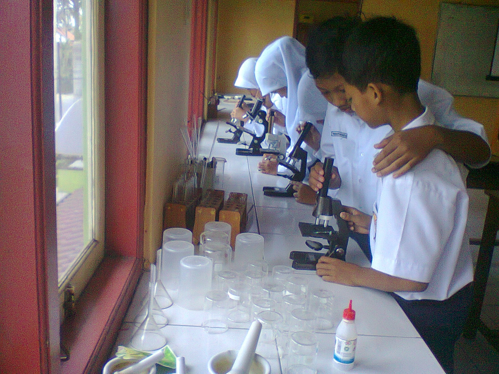 Persiapan Maksimal Menghadapi Tryout Online IPA SMP