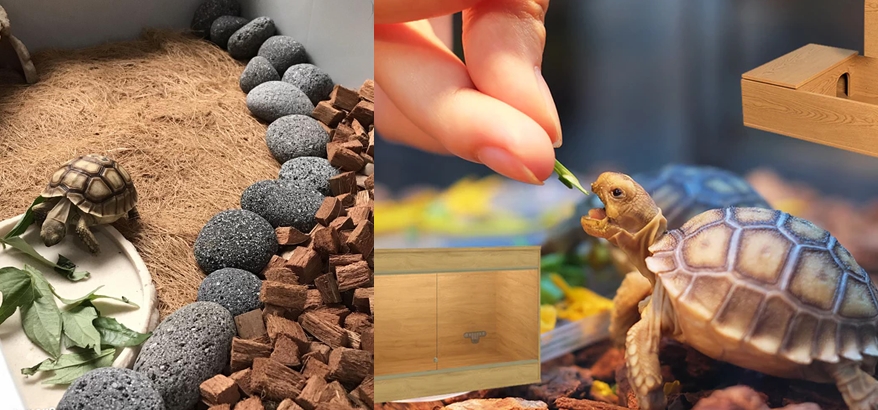 Cocohusk Alas Kandang Reptil