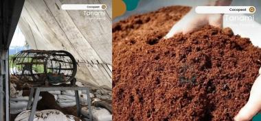 Media Tanam Cocopeat
