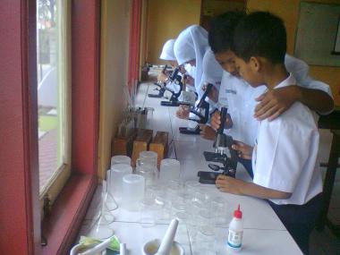 Persiapan Maksimal Menghadapi Tryout Online IPA SMP