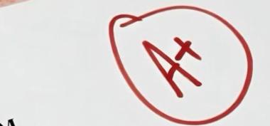 Eliminasi Jawaban sebagai Strategi Cerdas Menjawab Soal CPNS